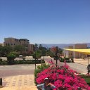���� ������, ������� �������� - ��������� 11 ���� 2018 � ������ ���� ����������