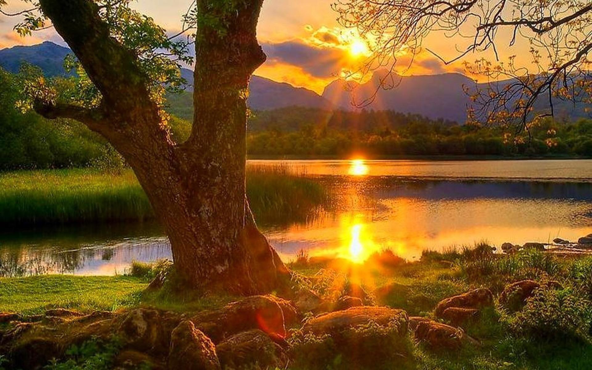 Утро эдварда грига. Солнце рассвет. Как прекрасен этот мир утром. Доброе утро близким людям. Прекрасный мир природы.