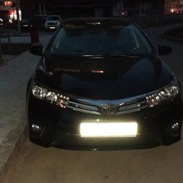 �������, ������, 41 ���