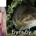 ���� �������, ��������, 44 ���� - ��������� 23 ��� 2018 � ������ ������ ��������