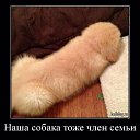 ���� Alazorna, ������, 57 ��� - ��������� 28 ������� 2017 � ������ ������ ��������