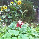 ���� �����, ������, 45 ��� - ��������� 24 ������ 2017 � ������ ���� ����������