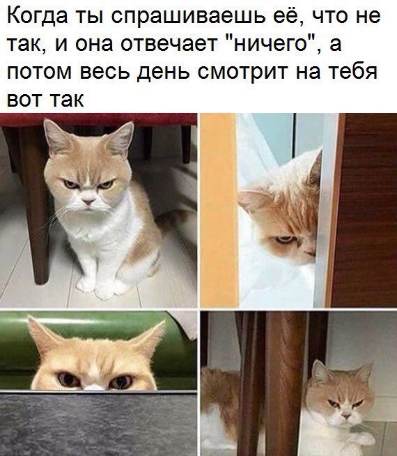   - 4  2018  21:40