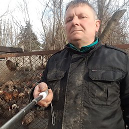 �������, ������, 56 ���