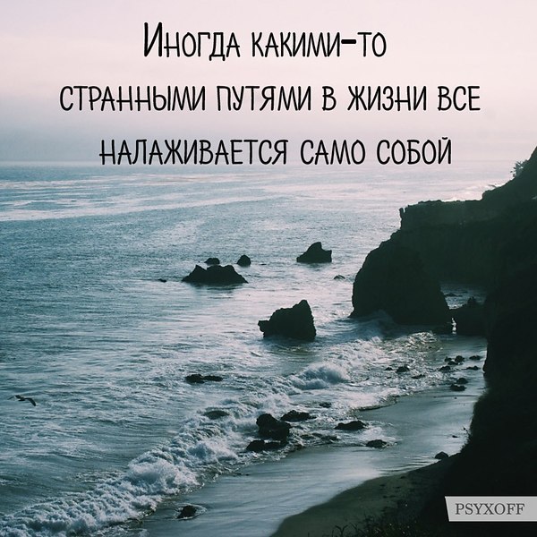 ��������� - 5 ����� 2018 � 18:51 - 89