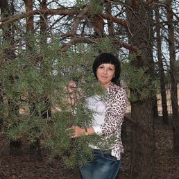 , 49, 