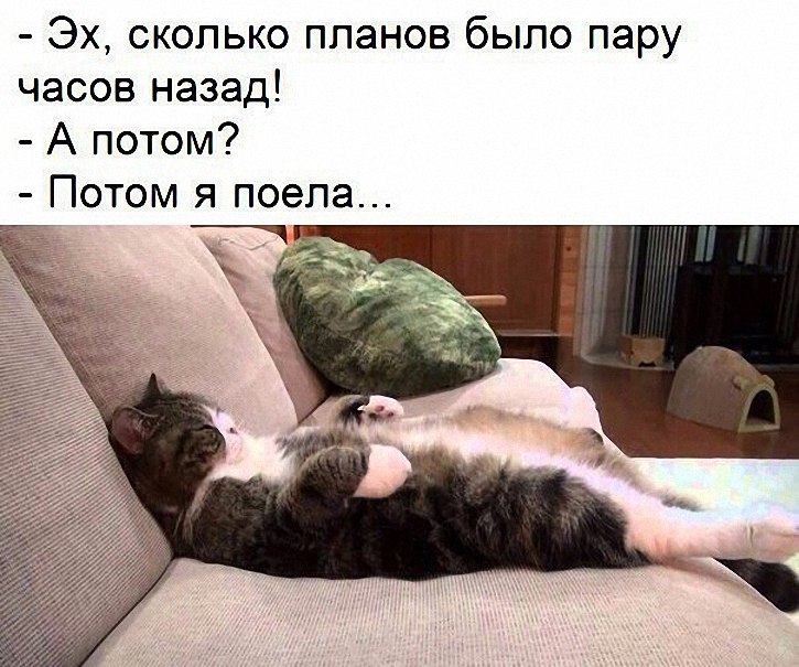   - 1  2018  20:39