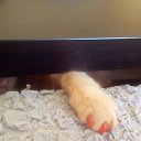 ���� ��, �����-��������� - ��������� 26 ������ 2018 � ������ ���� ��������