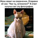 ���� Poligon, �����, 32 ���� - ��������� 13 ������� 2018 � ������ ������ ��������