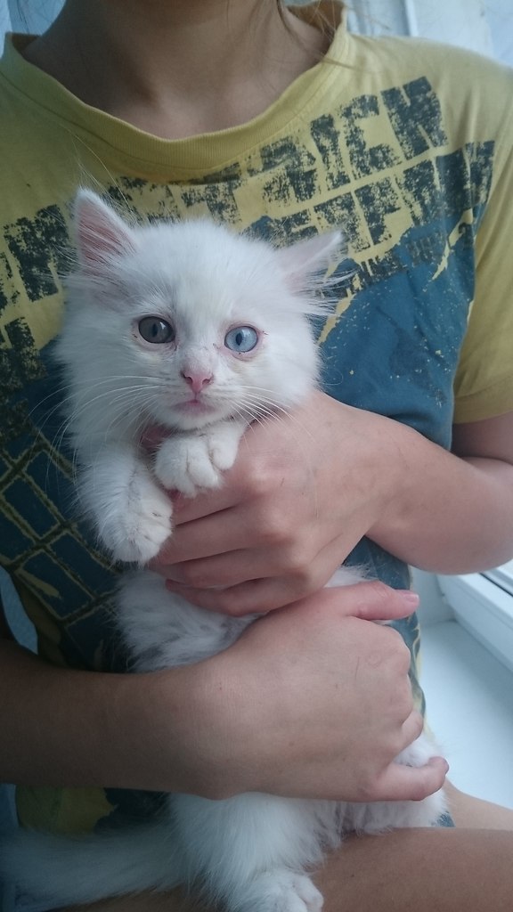 #_.  ,   ,    .   ...