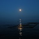  , , 60  -  4  2018   , ,27.06.18. 