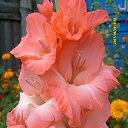 ���� �����, ������ - ��������� 13 ���� 2018 � ������ ���� ���������