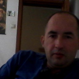 ����, ������, 51 ���