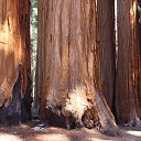 ���� �����, ��������, 48 ��� - ��������� 21 ������ 2018 � ������ ���� ����