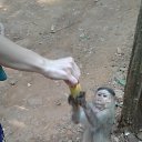 ���� ���������, ��������, 61 ��� - ��������� 16 ������� 2017 � ������ ����