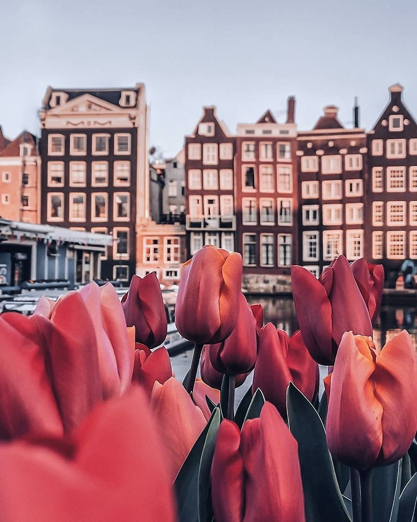 Amsterdam, The Netherlands - 3