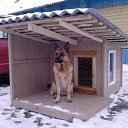 ���� Galka, ������ - ��������� 9 ������� 2018 � ������ ���� ����������