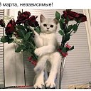 ���� ����, �����-��������� - ��������� 8 ����� 2018 � ������ ������ ��������