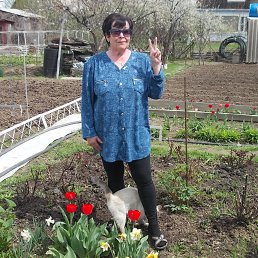 Marina., , 71 