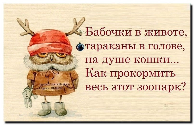 The Lady - 11 ������� 2017 � 03:26