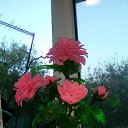 ���� ����, ��������� - ��������� 30 ���� 2018 � ������ ���� ����������