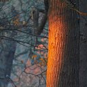  , -, 45  -  10  2018    