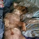 ���� �������, ��������, 51 ��� - ��������� 1 ���� 2018 � ������ ���� ����������