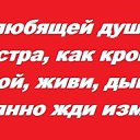 ���� �������, �������� ���, 72 ���� - ��������� 5 ������� 2017 � ������ ������� �������.�