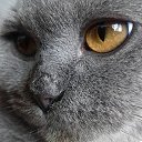 ���� ������ 🙂, �����, 39 ��� - ��������� 23 ��� 2018