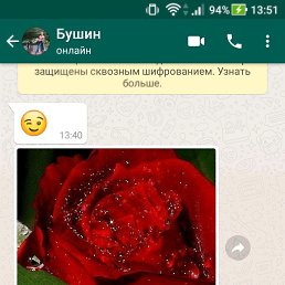 ���� ������, ���������, 50 ��� - ��������� 23 ������ 2017
