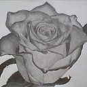 ���� ���������, ����, 46 ��� - ��������� 4 ���� 2018