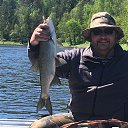 ���� ������, �������, 52 ���� - ��������� 8 ���� 2018 � ������ ���� ����������