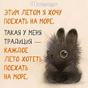���� ����� �������, ������-��-����, 49 ��� - ��������� 9 ��� 2018 � ������ ���� ����������