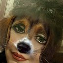 ���� �����, �����-��������� - ��������� 3 ������ 2018 � ������ ������ ��������