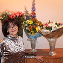 ���� ���������, ��������� - ��������� 15 ���� 2018 � ������ ���� ����������