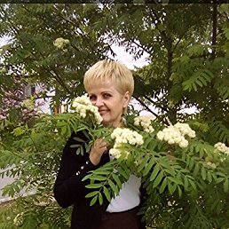 ���� �������, ������, 56 ��� - ��������� 28 ���� 2018