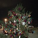���� ������, �������, 57 ��� - ��������� 26 ������� 2017 � ������ ������ ��������