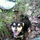 ���� Aleks, ���������, 65 ��� - ��������� 12 ��� 2018 � ������ ���� ����������