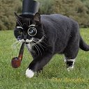 ���� ��������, ������, 43 ���� - ��������� 25 ������ 2017 � ������ ������ ��������