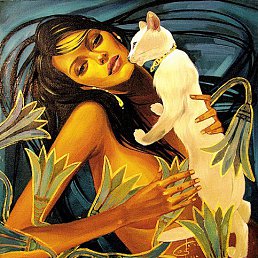 �����, �����������, 37 ���