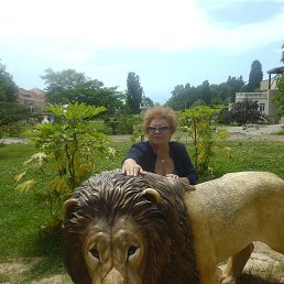 ���� 2017 ���