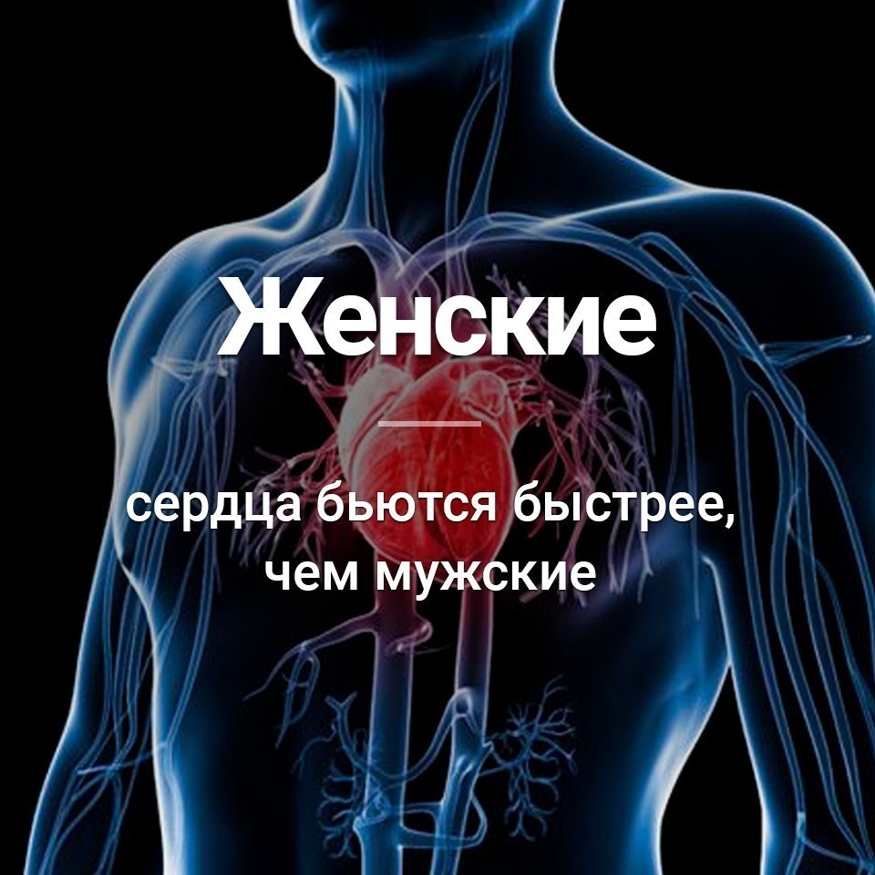 Почему сердце бьётся. Почему у человека быстро сердце бьется. Быстрее всего сердце бьется. У кого сердце бьется быстрее у мужчин или у женщин. Биение человеческого сердца.