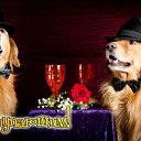 ���� ����, �������� - ��������� 10 ������� 2017 � ������ ���� ����������