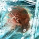 ���� �������, �����-���������, 62 ���� - ��������� 23 ������� 2018 � ������ ���� ����������