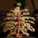 ���� 2017-2018 �� ������� ���� ��������߻