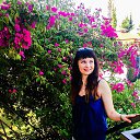 ���� ����, ������, 39 ��� - ��������� 27 ��� 2018 � ������ ���� ����������