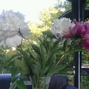 ���� ����� ����������, �����, 69 ��� - ��������� 16 ���� 2018 � ������ ���� ����������