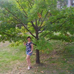 ����� ����������, ���������, 57 ���