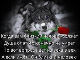 Есть у людей вековая забава –.Сравнивать с волком себя «в зеркалах» .Прежде чем, сходства искать так ...