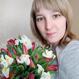 �������, ���, 33 ����